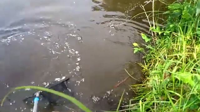 карп микроджигом смотреть онлайн