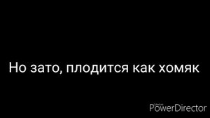 Текст песни "Чикибамбони"