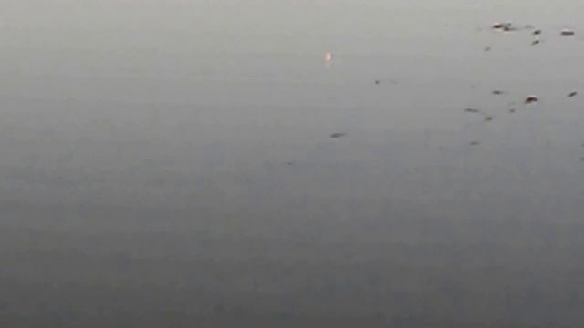 Рибалка на поплавок. Ловля карася і канального сома смотреть онлайн