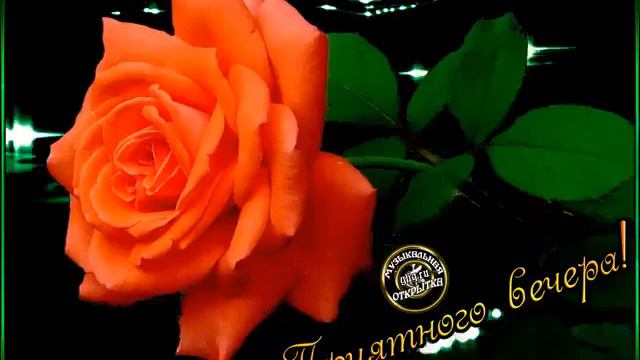 Последние новости!!!!!!!!!!!!!!!!!!!!Лучшие новости!!!!!!!!!!!!!!!!!!