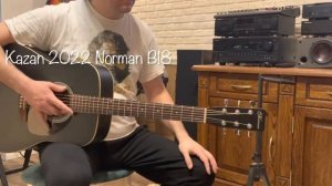 Norman B18 небольшой обзор для покупателя