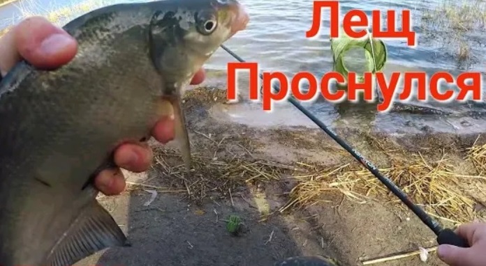 Лещ Проснулся! Рыбалка Ранней Весной