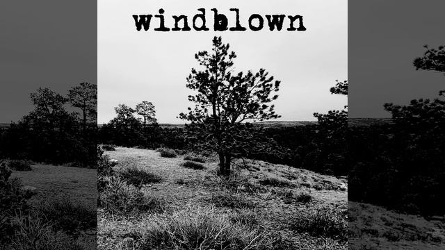 Windblown - Ambient Synthesizer [ Wavestate, Modwave, Typhon, Microcosm, Neutron, K2 and Digitak ] смотреть онлайн