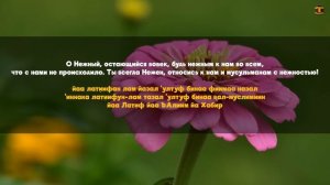 дуа для утра и хорошего дня - дуа для успокоения души - красивое чтение дуа | Дуа на каждый день