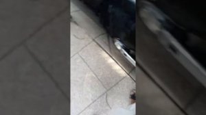 Toyota Mark X. all key lost program 03368385840