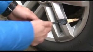 Советы Бывалых Выпуск №22