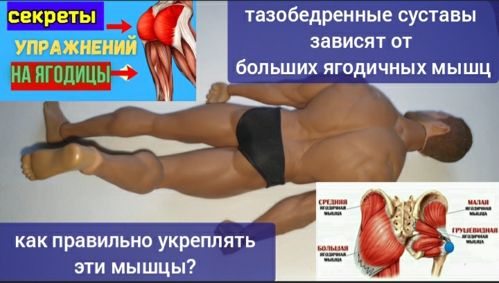 Большие ягодичные мышцы дают жизнь тазобедренным суставам. Как освободить ягодичные нервы и артерии?