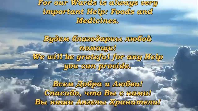Котёнок собирает грибы. Очень забавно.?