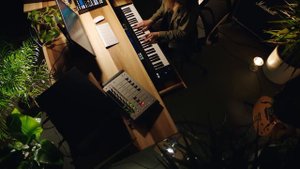 ANALOG STRINGS by Output - Performance