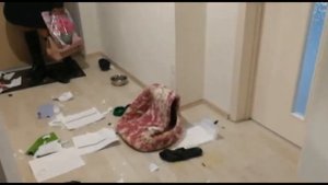 Давай купим собачку
