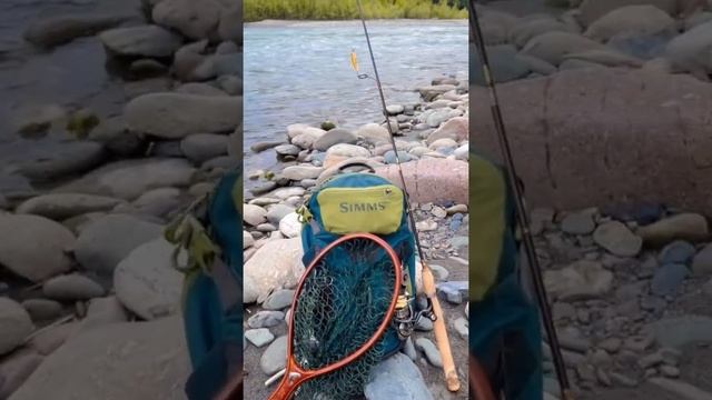 Время ловить форель ? #рыбалка #simms #trout #troutfishing #рыбалка2021 #форель