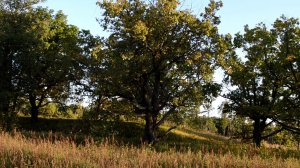 Общение с умершими. Наркоманы на том свете.