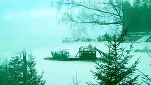 Над тишиной замерзающих рек...