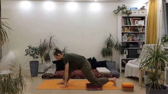 Вечерняя практика хатха-йоги, 1 час. Комплекс для спины и ног.