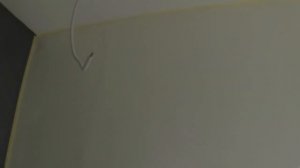 Декоративная штукатурка под вельвет,бархат,мокрый шелк видеоурок по нанесению