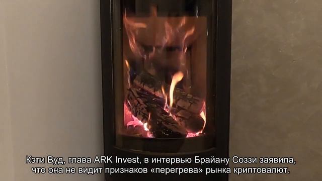 Альткоины: «перегрев» рынка или стабильный рост?