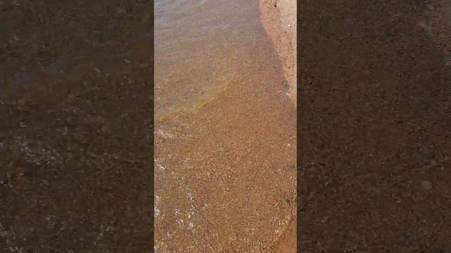 Ладога днем