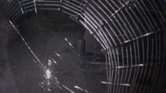 паук смотреть онлайн