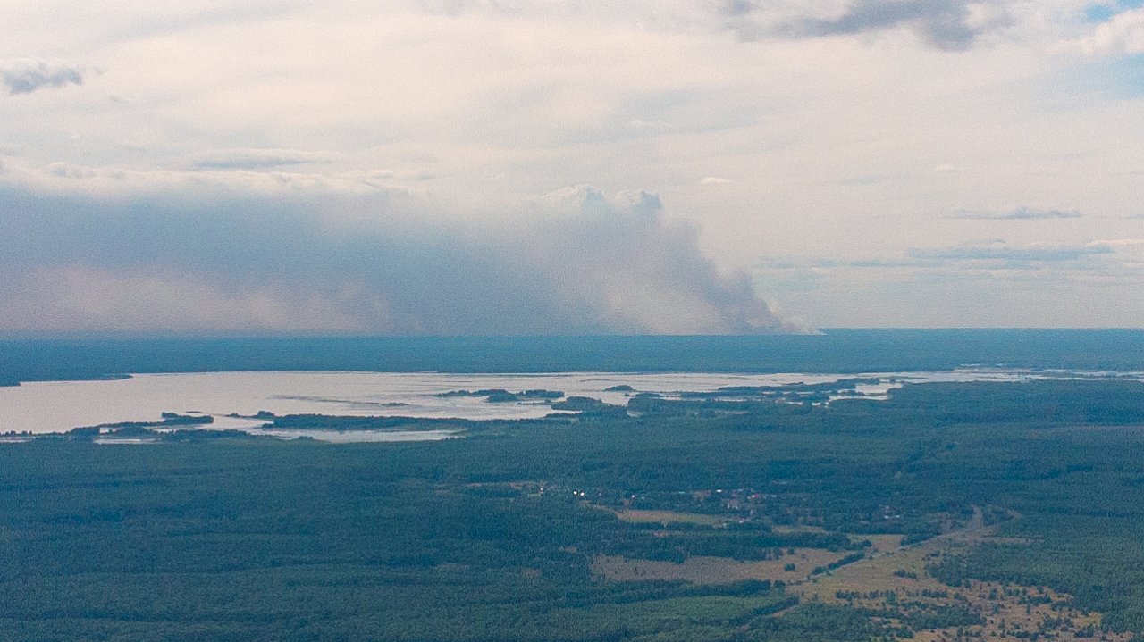 Лесной пожар в Воротынском районе Нижегородской области на границе с Республикой Марий Эл