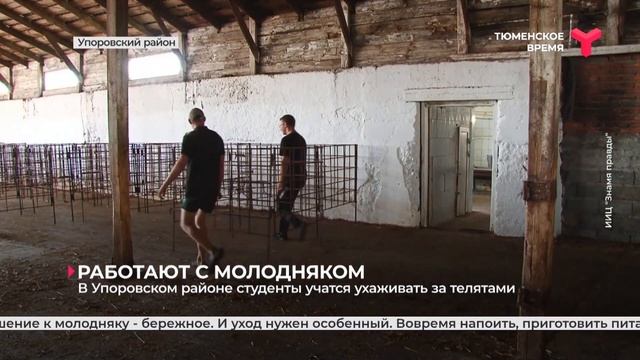 В Упоровском районе студенты учатся ухаживать за телятами смотреть онлайн