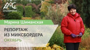 Репортаж из миксбордера 6. ОКТЯБРЬ. ПОДГОТОВКА К ЗИМЕ