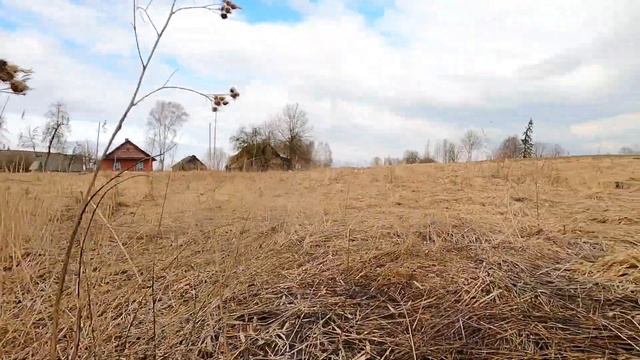 Обзор дома в дерене. Участок, постройки - все в плачевном состоянии. #купитьхутор #купитьдом