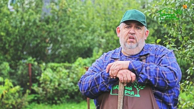 Правильная подготовка почвы к зиме осенью.