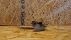 Новый не горючий огнеупорный пластик ABS V0 от PrintProduct3d.ru