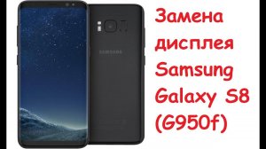 Разборка и замена дисплея на Samsung Galaxy S8 (G950f)