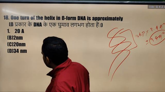 Molecular basis of inheritance important objective questions