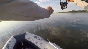 Летний жерех на спиннинг: котлы на Волге.