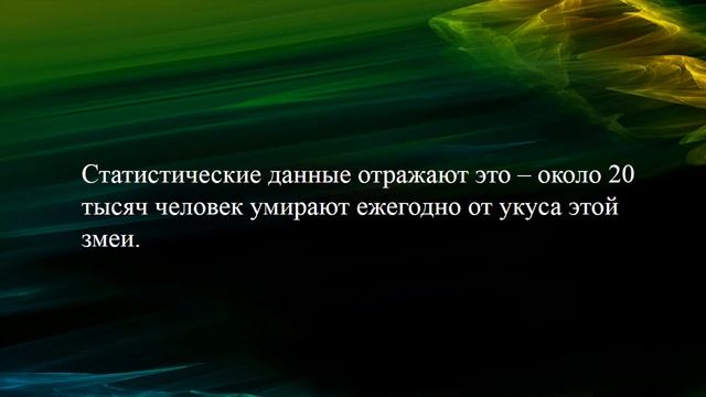 Черная мамба. Змея - убийца.