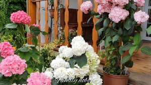 Family hobby канал о жизни и создании ПРЕКРАСНОГО САДА .