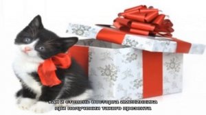 Что подарить ребенку на 12-летие?