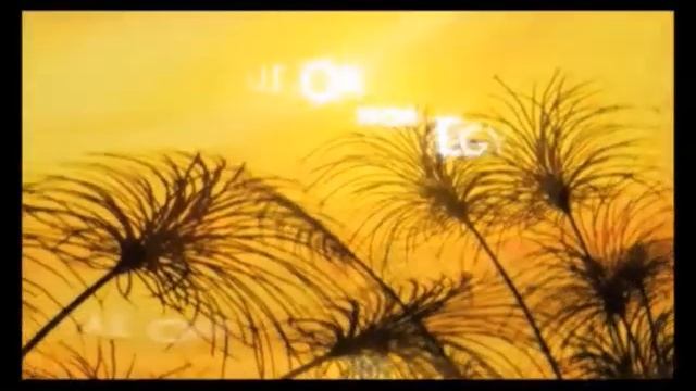 오로플루이도 (OROFLUIDO) смотреть онлайн