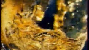 Рекламный блок (REN-TV, 01.07.2006) (3)