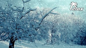 The sound of Snowfall in the Forest