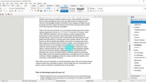 Inserting Breaks in LibreOffice 7 Documents