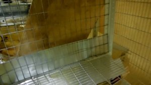 клетки для кроликов своими руками-3
