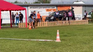 ПП 080 Zolland Mond VULF / Моно немецких овчарок ПК БРОННИЦЫ 10.08.2024