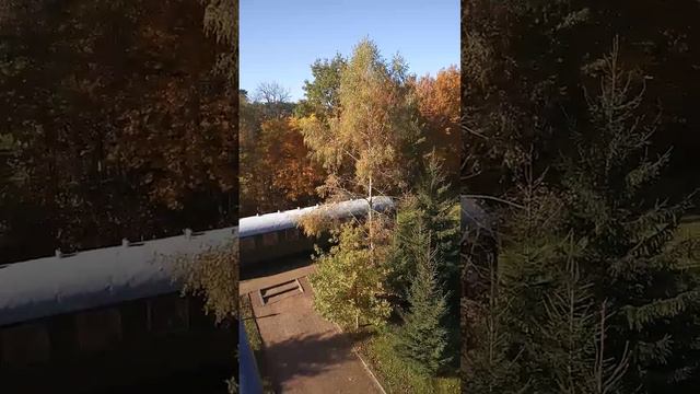 работа в Польше, отель Царский... смотреть онлайн