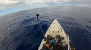 Hawaii Kayak Fishing: Unexpected catch from 650 feet down!