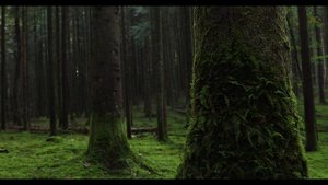 Как связаны ваши родинки и родимые пятна с прошлыми жизнями?