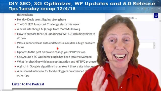 WP 5.0 Update DIY SEO SG Optimizer Minor Updates Issue - Tips Tuesday 12418