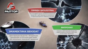 Набор ловушек РАПТОР от тараканов и муравьев