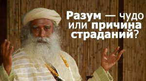 Разум — чудо или причина страданий_ Садхгуру