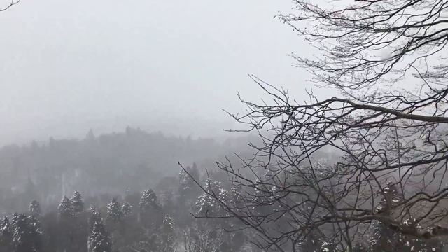 Путешествуйте с Олегом Гадецким! Чувство искренней любви всегда объединяет нас с природой. Часть 6