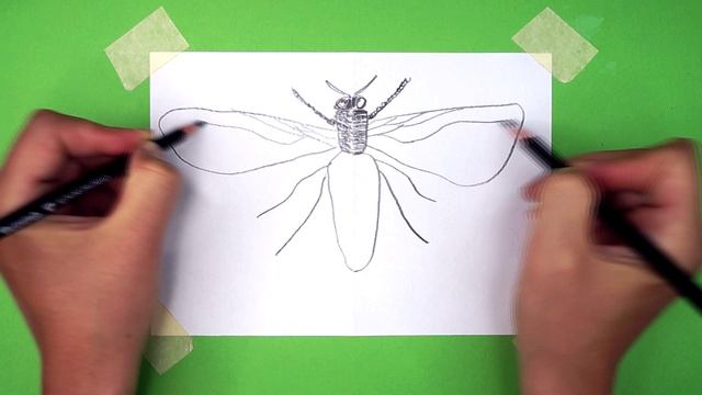 НАРИСОВАТЬ ПЧЕЛУ ДВУМЯ РУКАМИ. КИНЕЗИОЛОГИЯ.