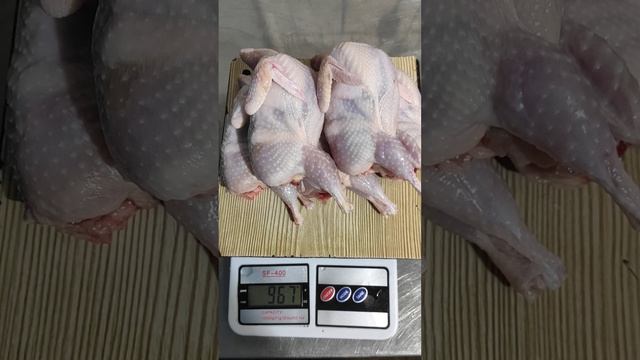 вес перепелов в возрасте 48 дней // техасский бройлер