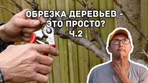 Как правильно обрезать деревья весной?